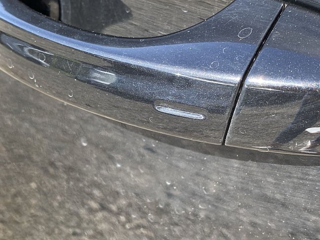 20197656.jpg