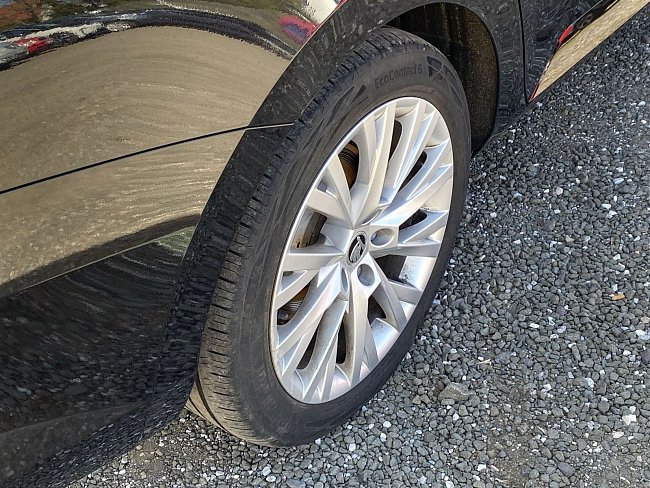 20197668.jpg