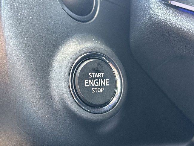 20198060.jpg