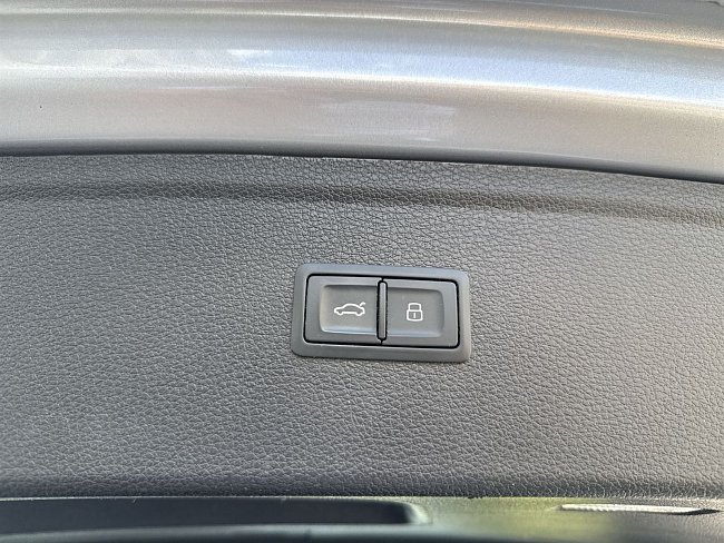 20198010.jpg