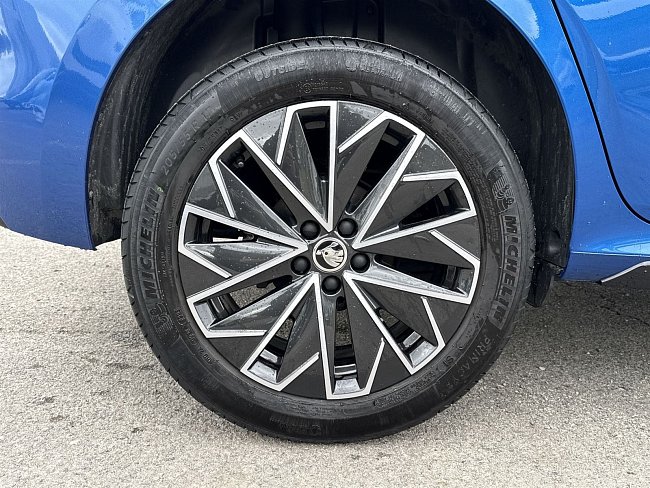 20198005.jpg