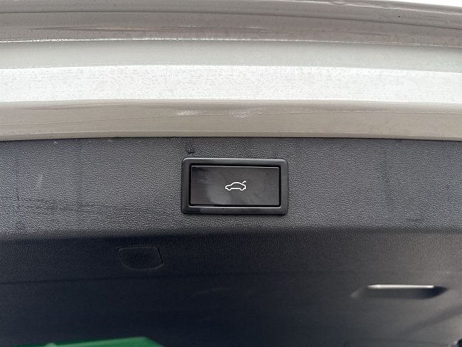 20198333.jpg