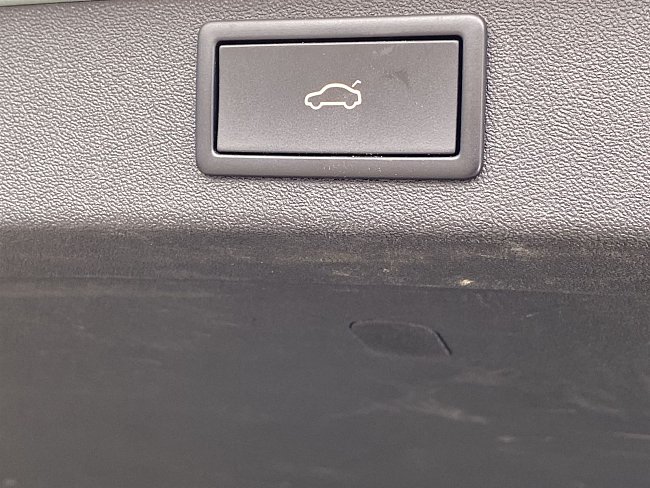 20198333.jpg