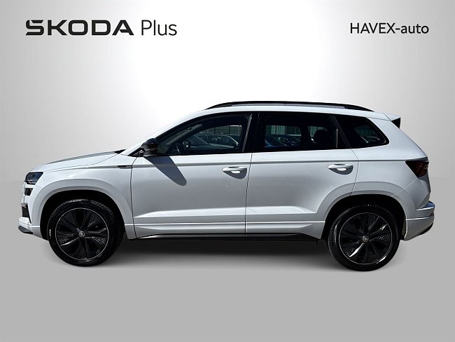 20198310.jpg