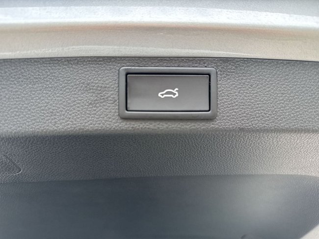 20198279.jpg