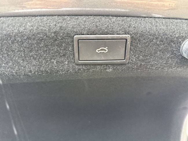 20198377.jpg