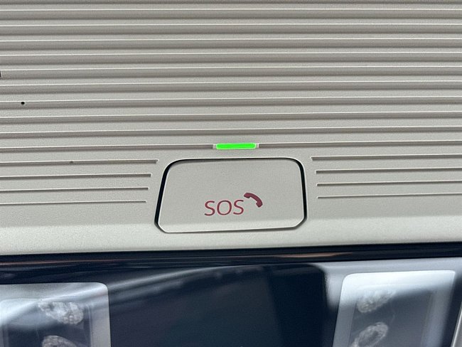 20198382.jpg