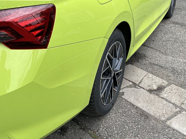 20198198.jpg