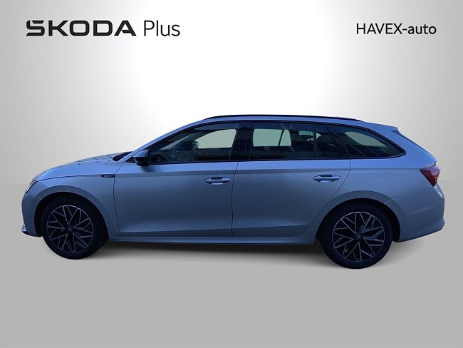 20198177.jpg