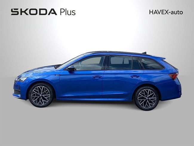 20198190.jpg
