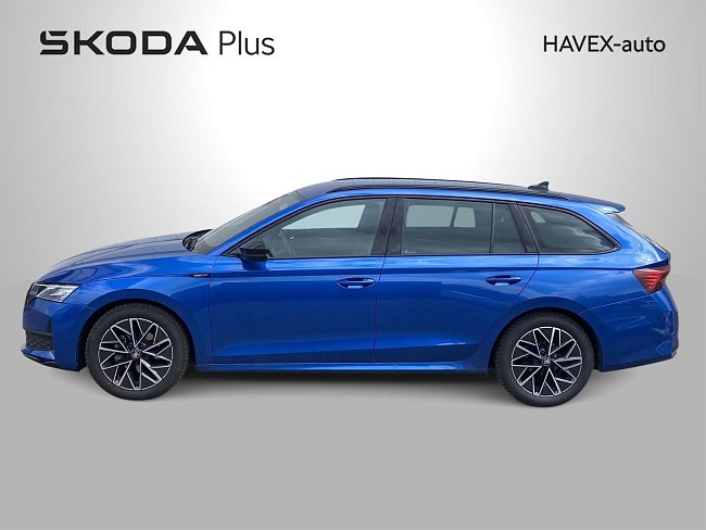 20198184.jpg