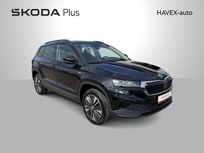 20198197.jpg