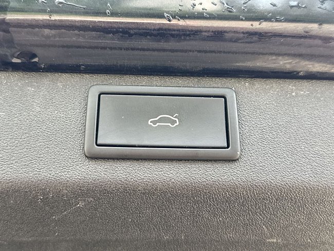 20198151.jpg