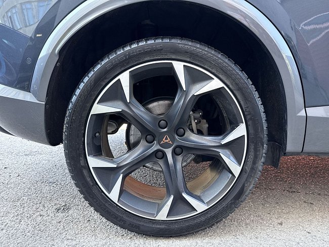 20198162.jpg