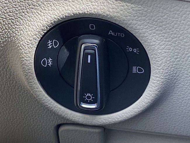 20198167.jpg