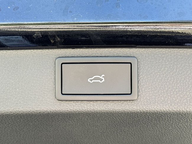 20198149.jpg