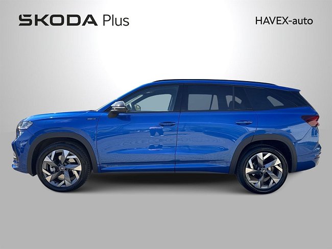 20198154.jpg