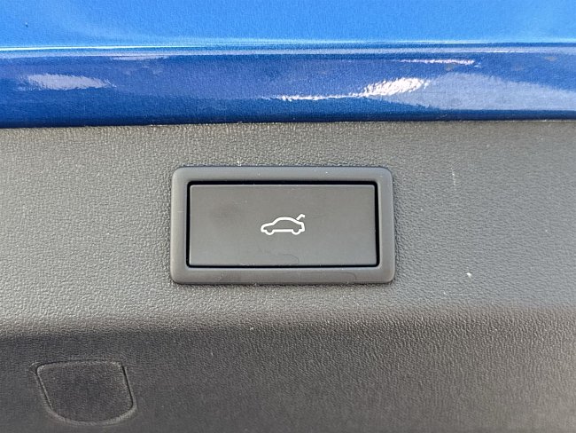 20198167.jpg