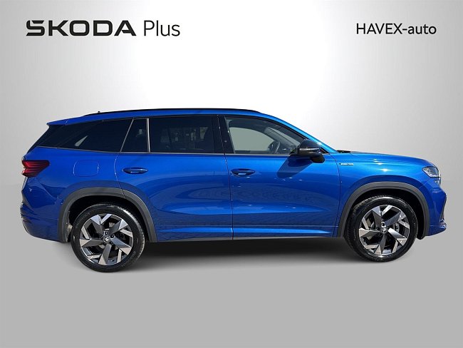 20198198.jpg