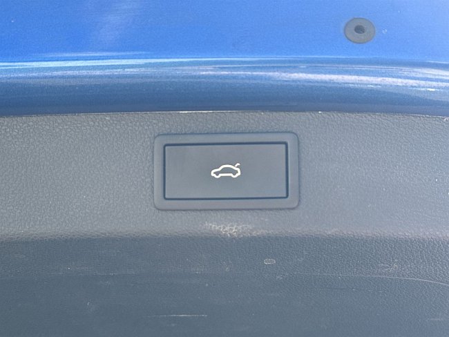 20198163.jpg