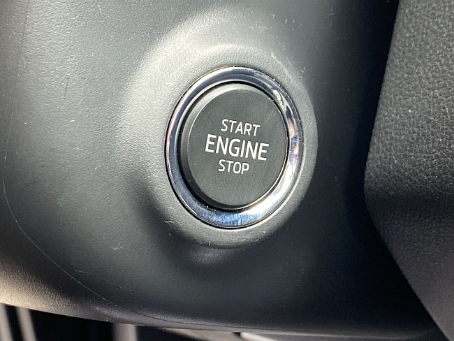 20198251.jpg