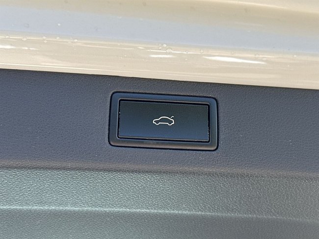 20198270.jpg