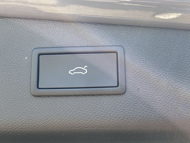 20198238.jpg