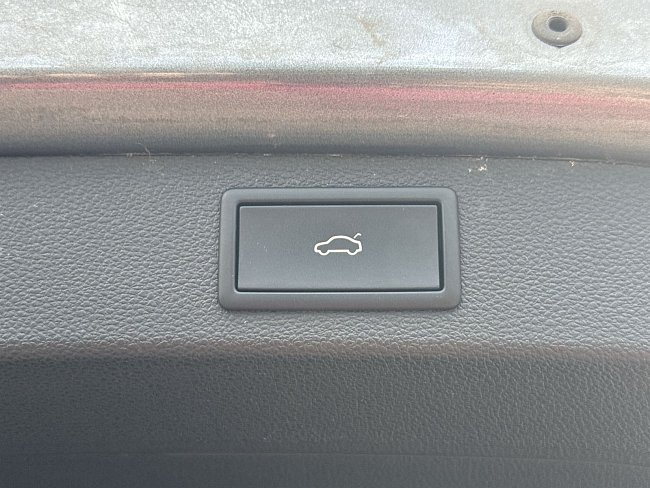 20198560.jpg