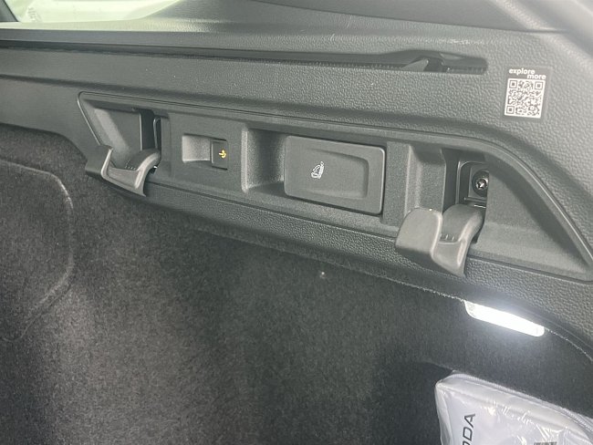 20198573.jpg