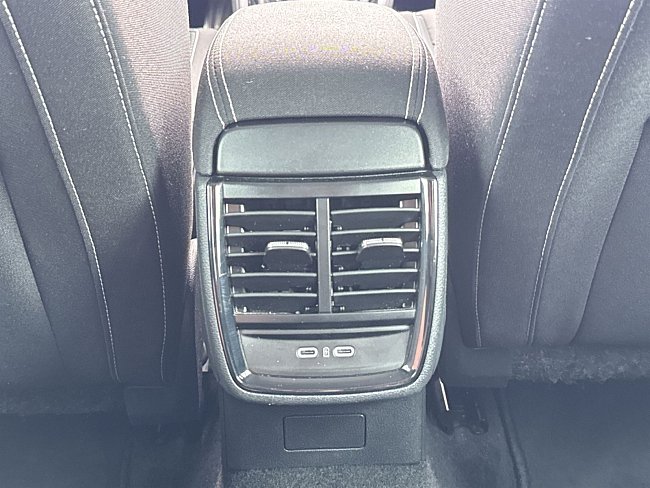 20198559.jpg