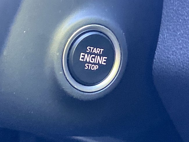 20198549.jpg