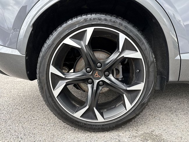 20198584.jpg