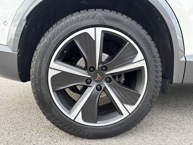 20198532.jpg