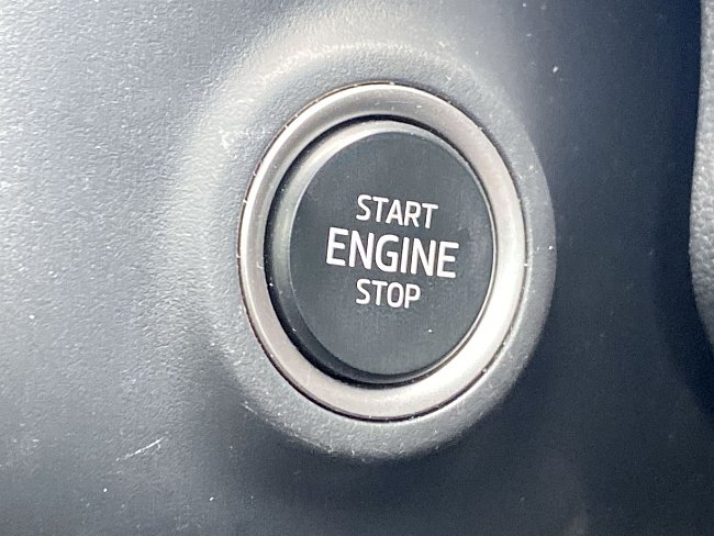 20198638.jpg