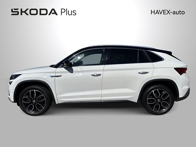 20198637.jpg