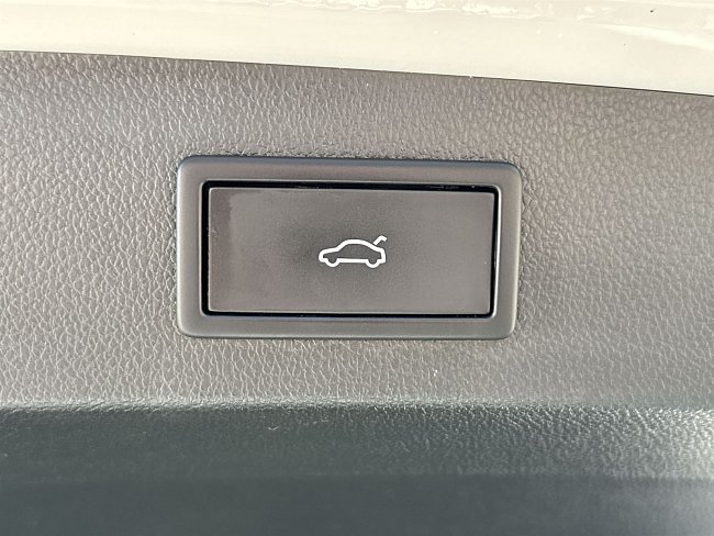 20198640.jpg