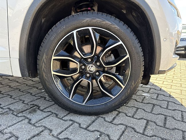 20198647.jpg