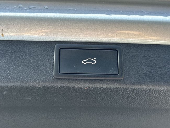 20198593.jpg