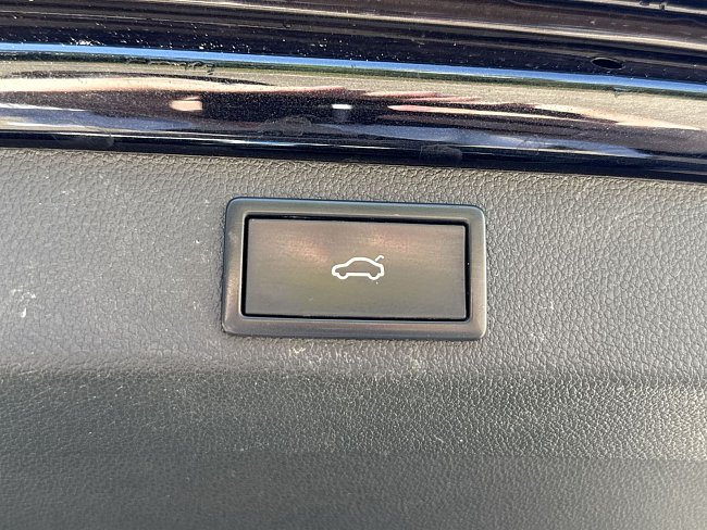 20198599.jpg