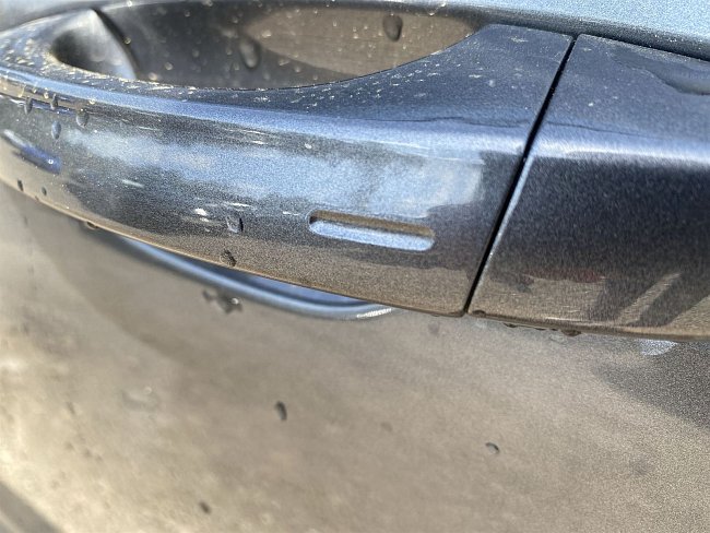20198607.jpg