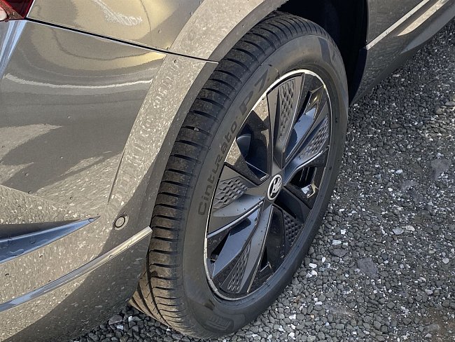 20198645.jpg
