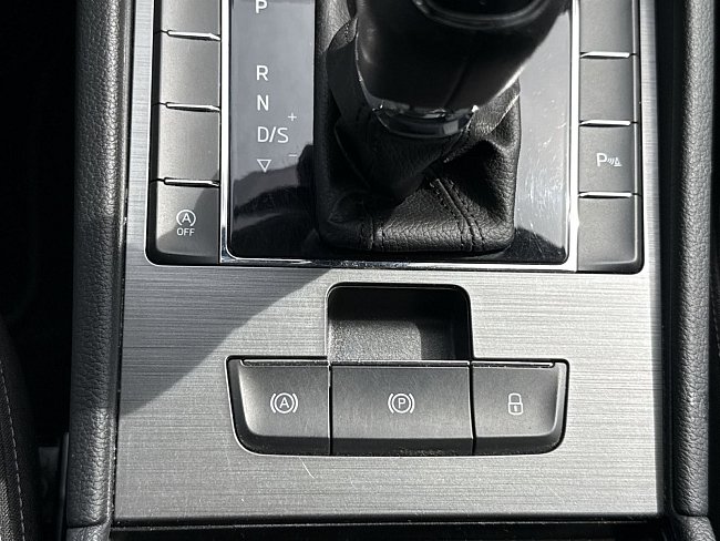 20198599.jpg