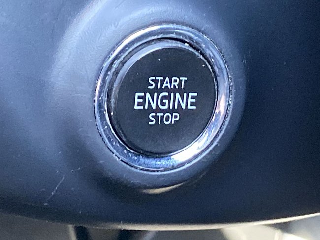 20198458.jpg