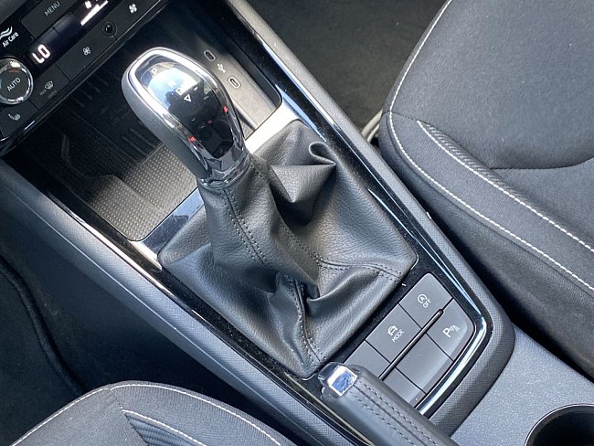 20198461.jpg