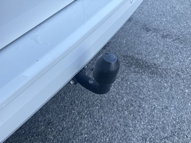 20198462.jpg