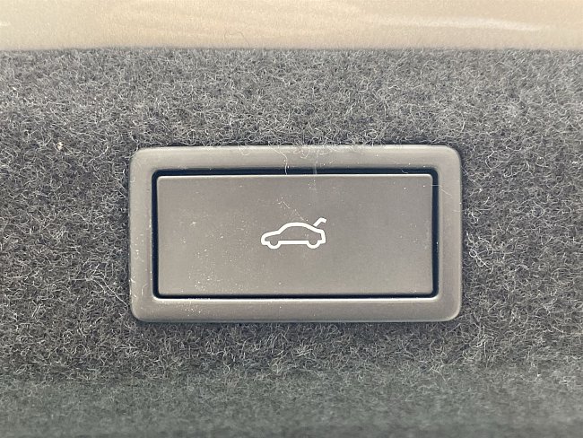 20198459.jpg