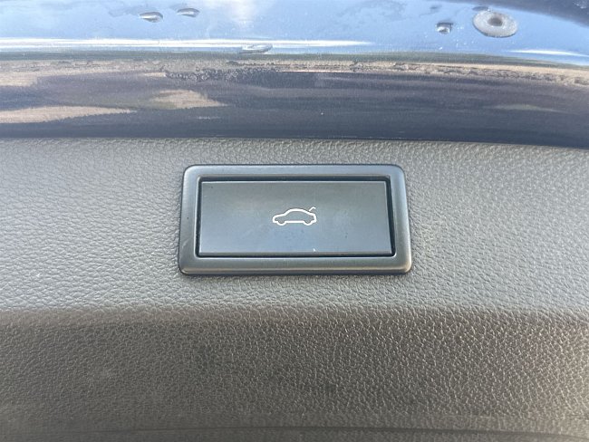 20198525.jpg