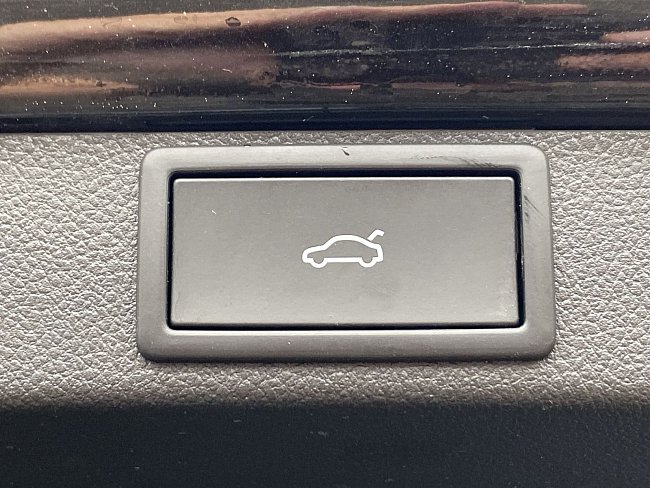 20198474.jpg