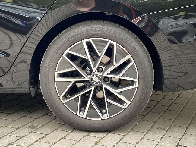 20198475.jpg