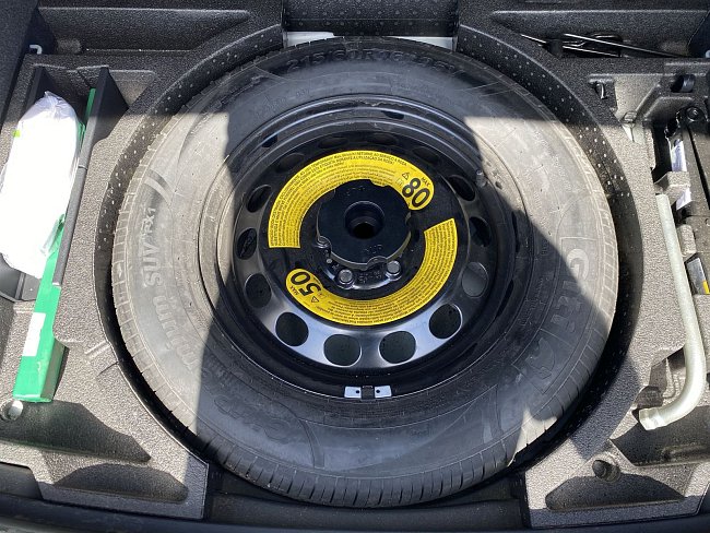 20198486.jpg